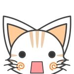 ssinnk