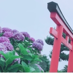 userPhoto