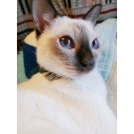 userPhoto