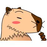かぴばら