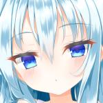 たまも