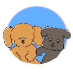 てらこときくこ