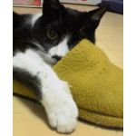 ひぐー