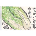 白菜