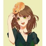 ロンコ