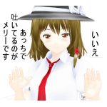 カツラギ