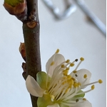 userPhoto