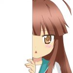 seiru(キキョウ団長初心者)