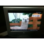 ユーザー画像