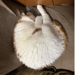 ユーザー画像