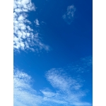 userPhoto