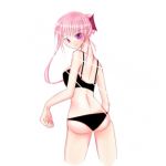 茉莉花