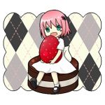 謎の里見