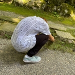 ななし