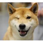 userPhoto