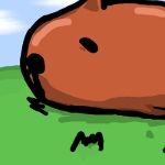 かぴばら