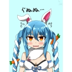 遊庵