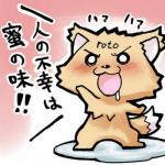 roto