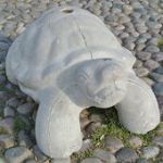 いずみん
