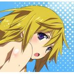 ＋くじら