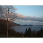 userPhoto