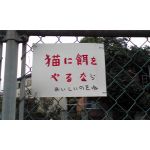 userPhoto