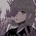 GOMO
