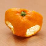 みかんのかわ