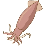 カイメル