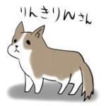りんきりん