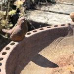 おはなし