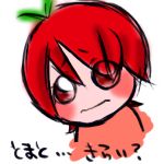 ふぁるせっと