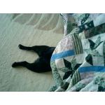 userPhoto