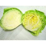 新キャベツ
