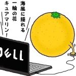 かぼす