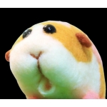 いえるど