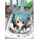 わんこ