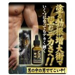 sengokusineyo4