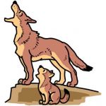 キュうチャン