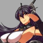 IKARUGA