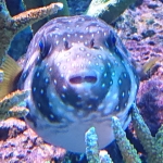 ゎけ
