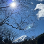 userPhoto