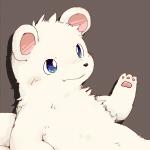きのこ