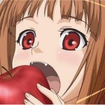 こんちゃん♪