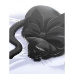 黒猫C