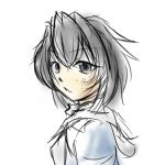 地を這う蛇