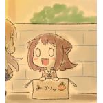 赤猫