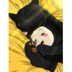黒猫