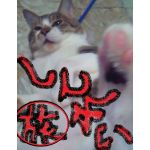 しょう