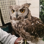 userPhoto